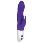 Picture of EVE'S BIG LOVE RECHARGEABLE RABBIT